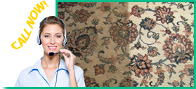 Rug Cleaning Services